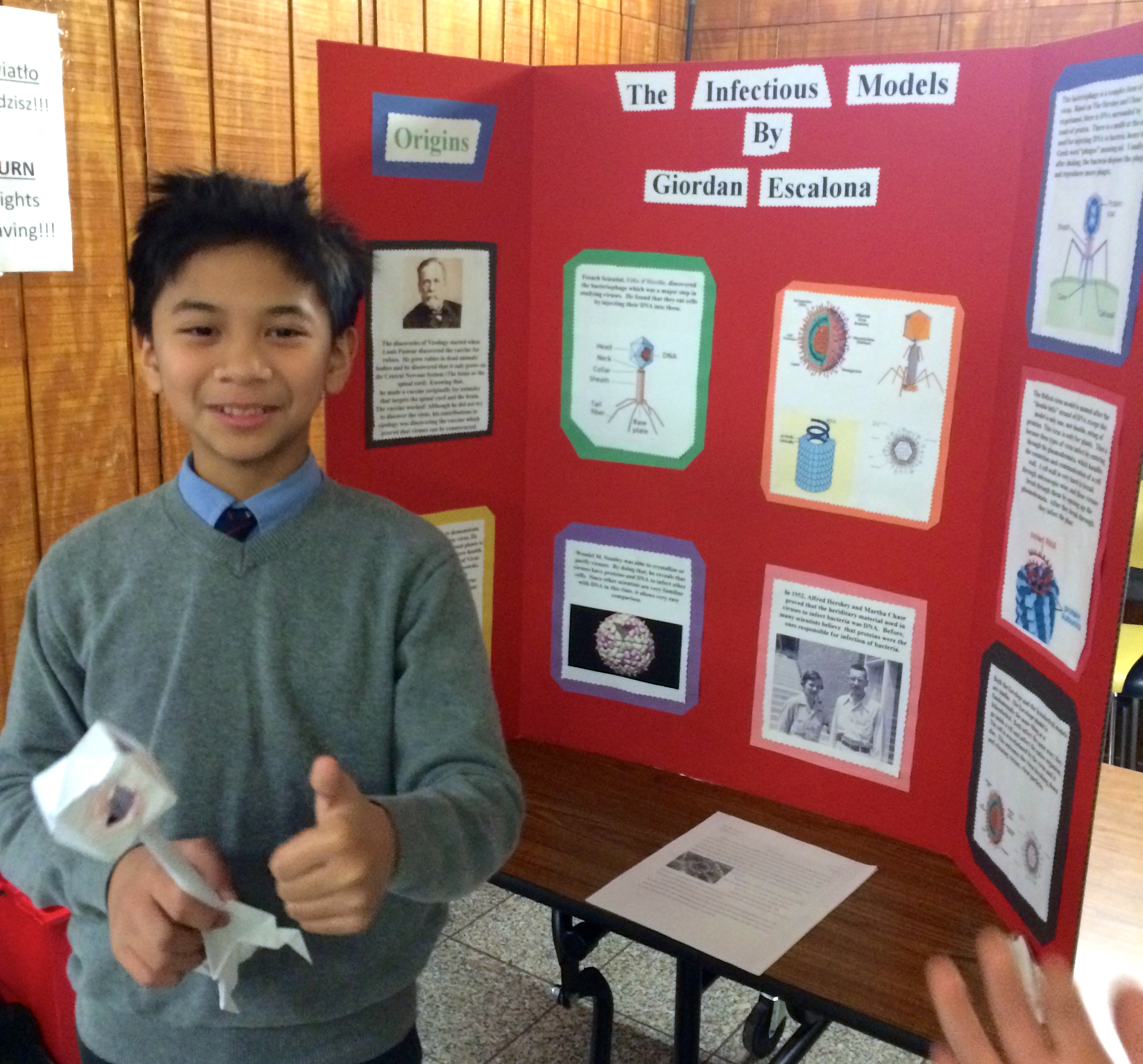 Science Fair: Scientific Models (7th Grade) | GJA Science